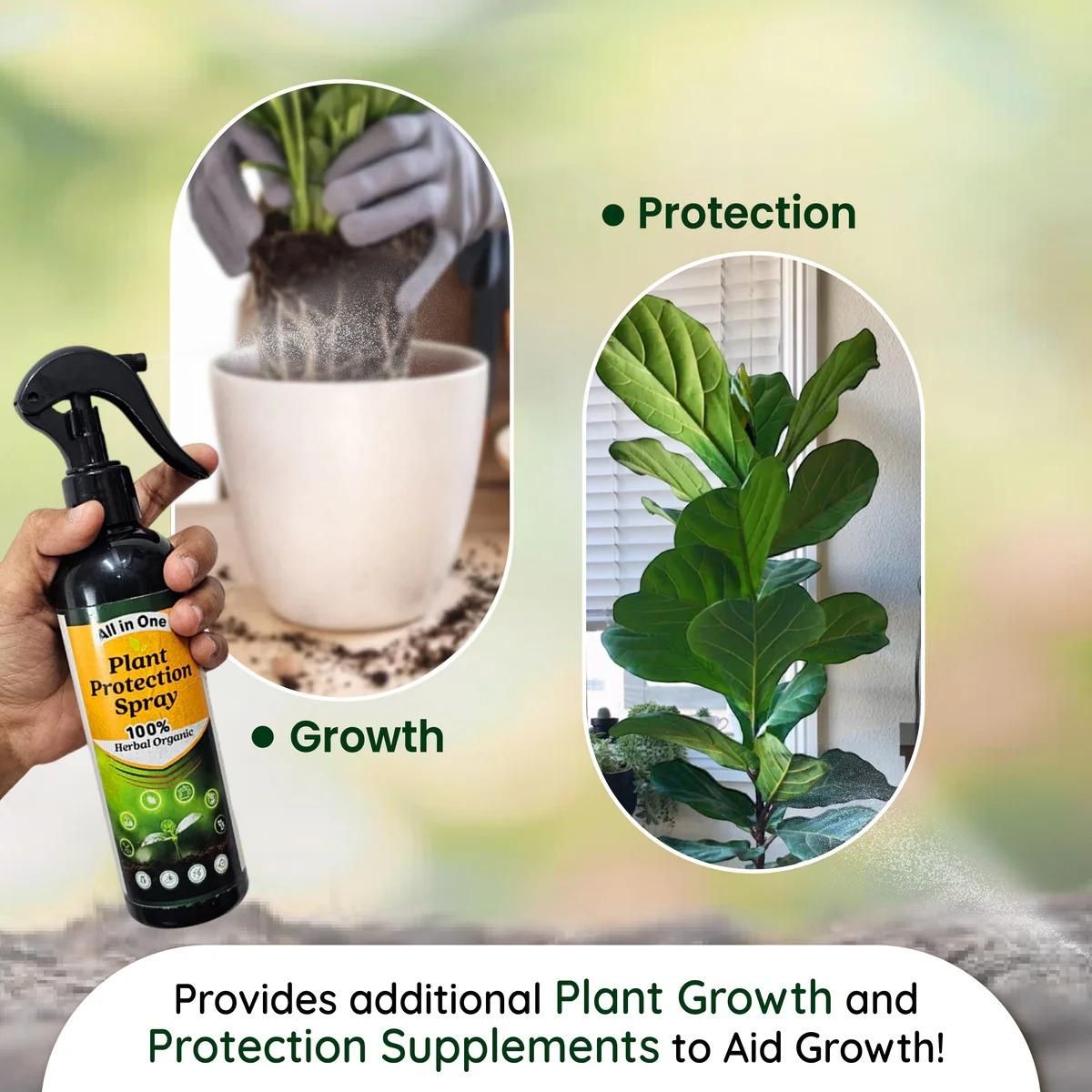 🌾Plant Protection Spray (Buy 1 Get 1 Free)