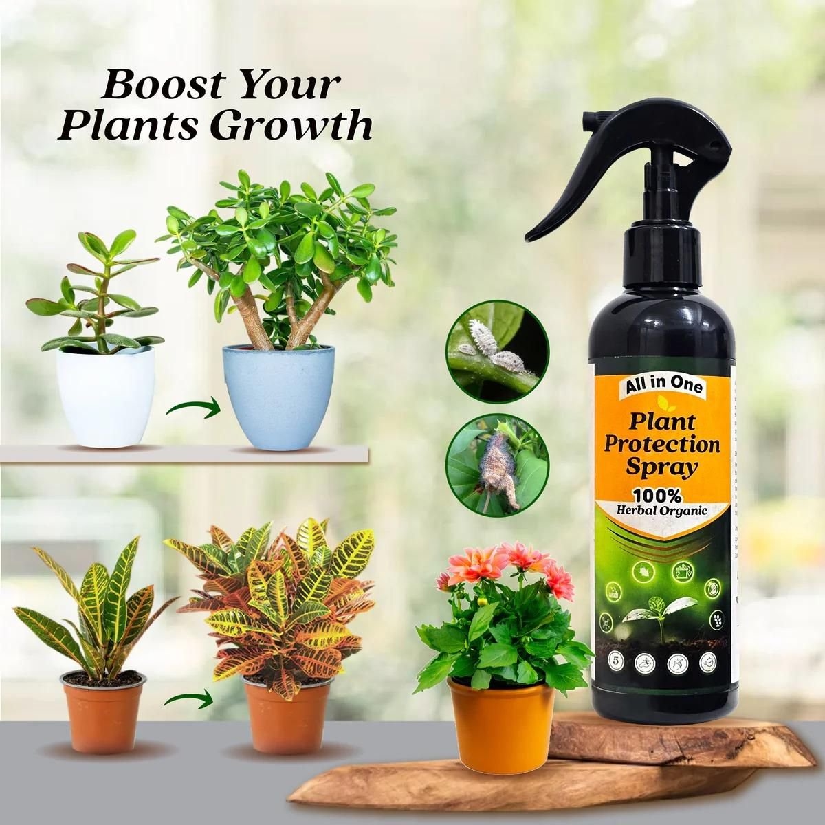 🌾Plant Protection Spray (Buy 1 Get 1 Free)