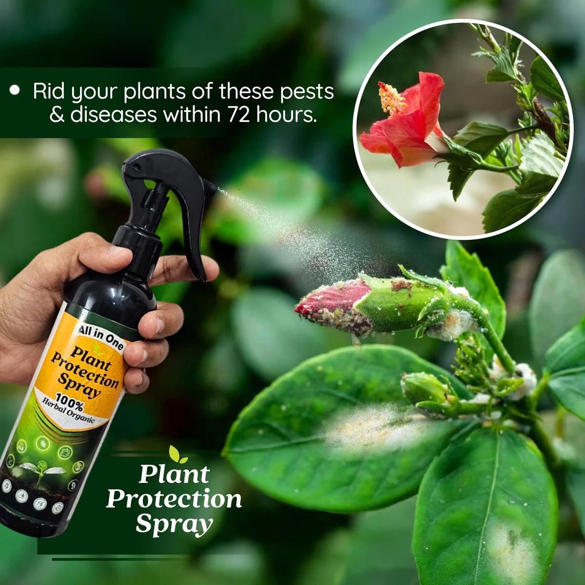 🌾Plant Protection Spray (Buy 1 Get 1 Free)